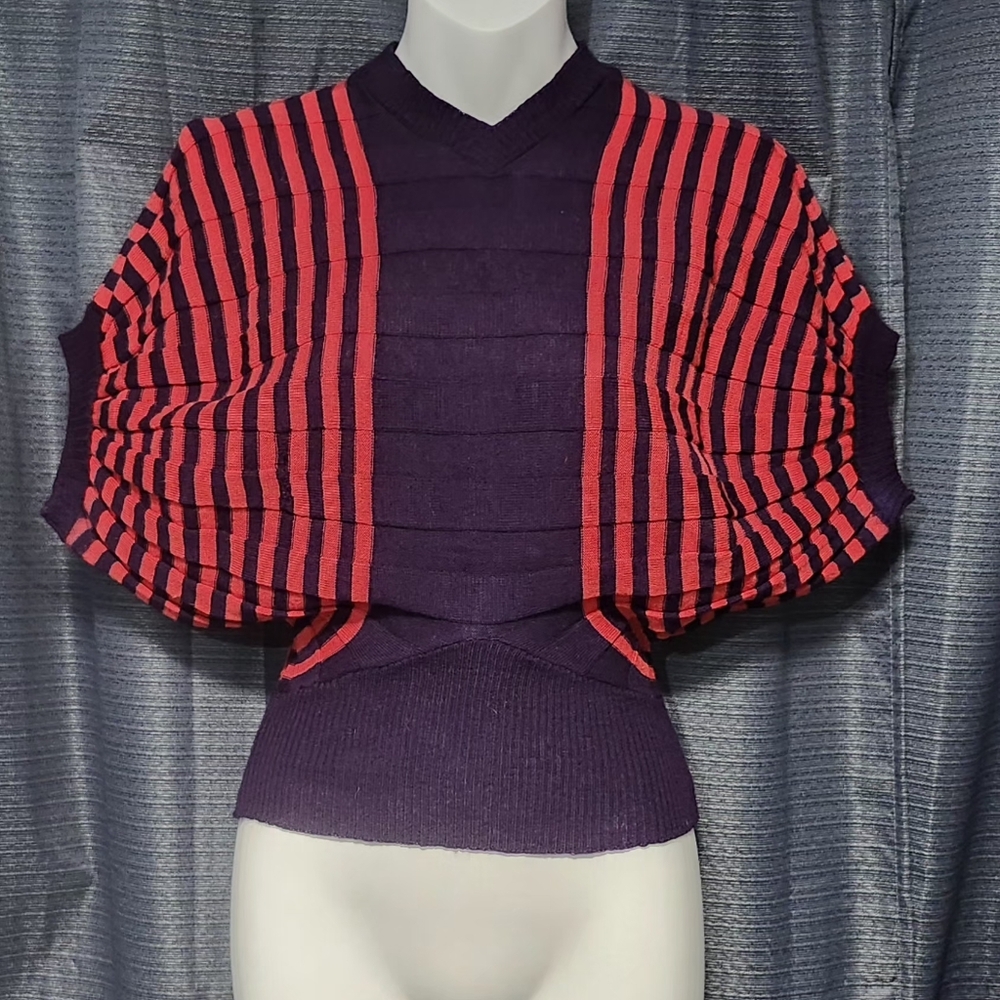 Purple and Red Striped V-Neck Batwing Sweater Vintage Scotch Rollaway 100% Wool